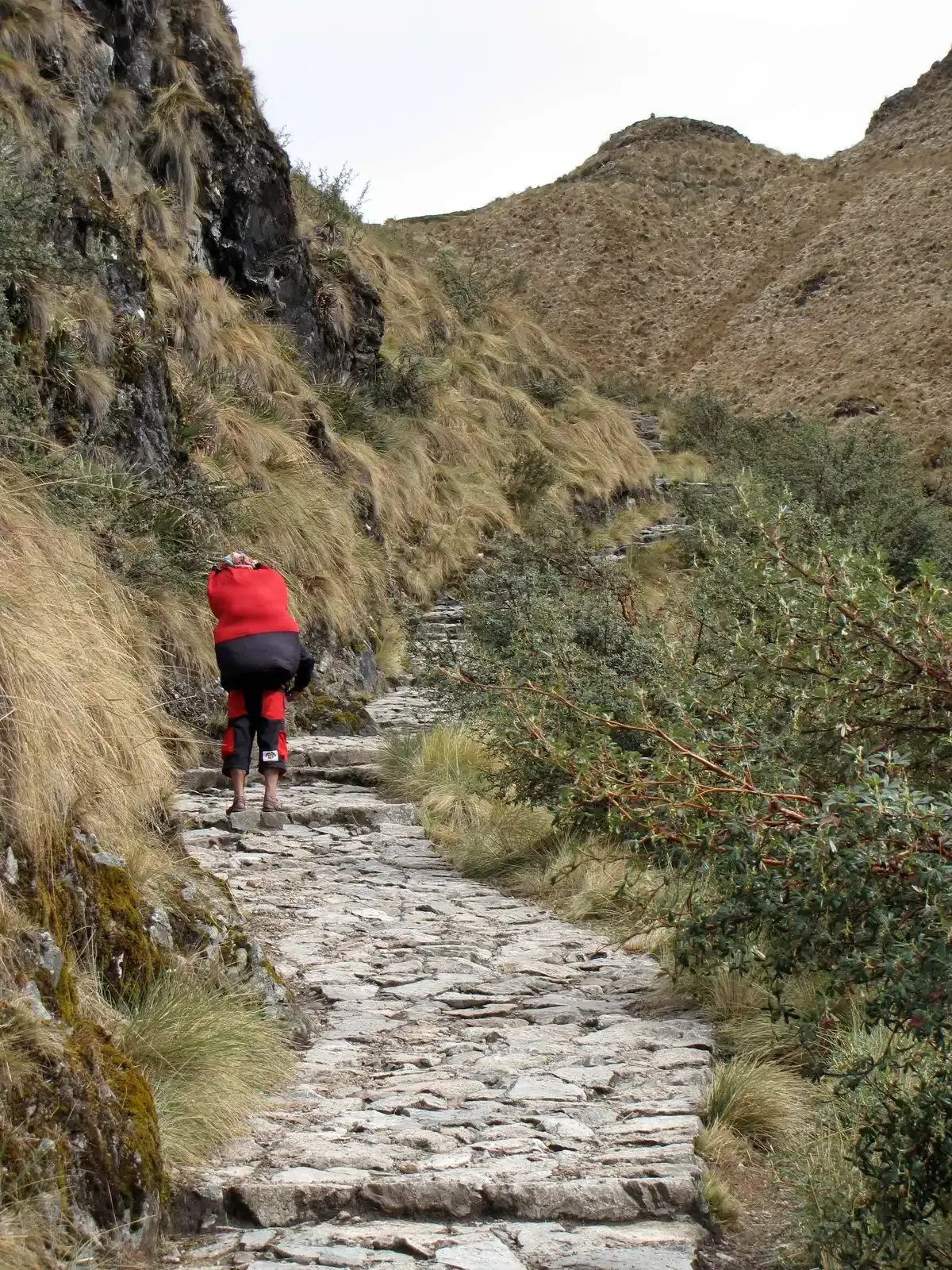 A trekker on the stone path climbing toward Dead Woman's Pass, seen on an Inca Trail tour